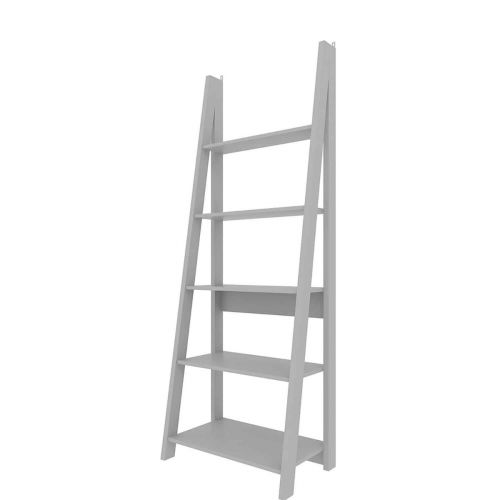 Tiva Ladder Bookcase 